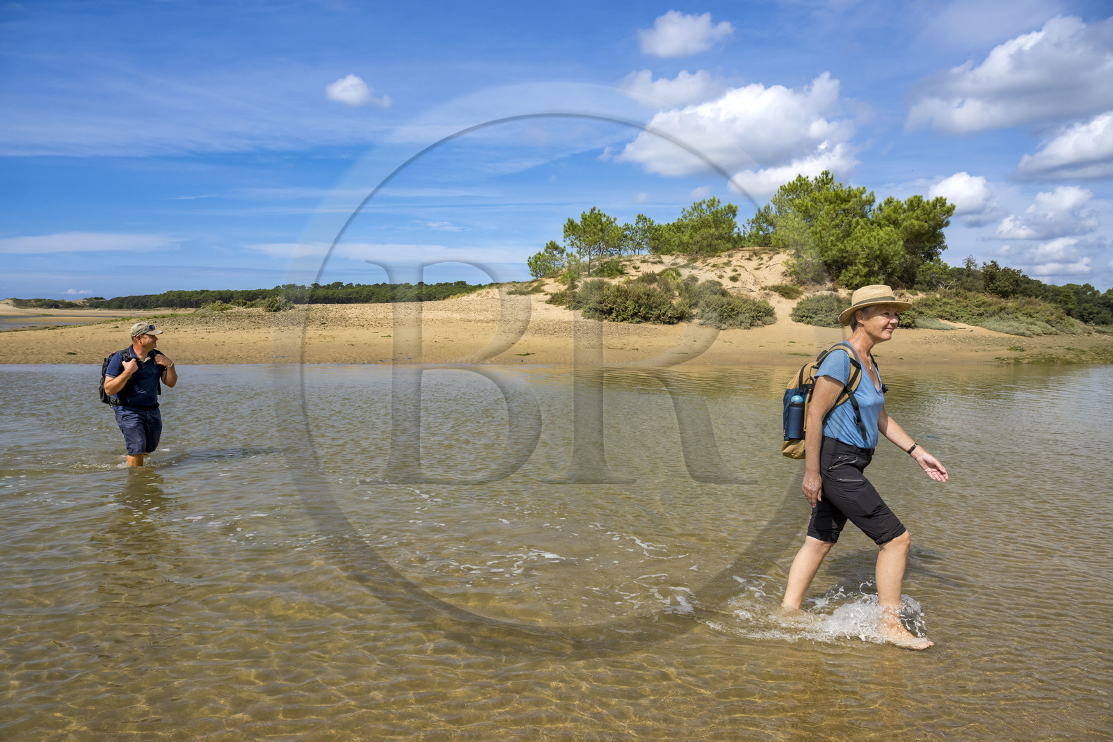 France, Vendée (85), Talmont Saint Hilaire, la Pointe du Payré, crossing of the mouth of the Payré river at low tide by hikers