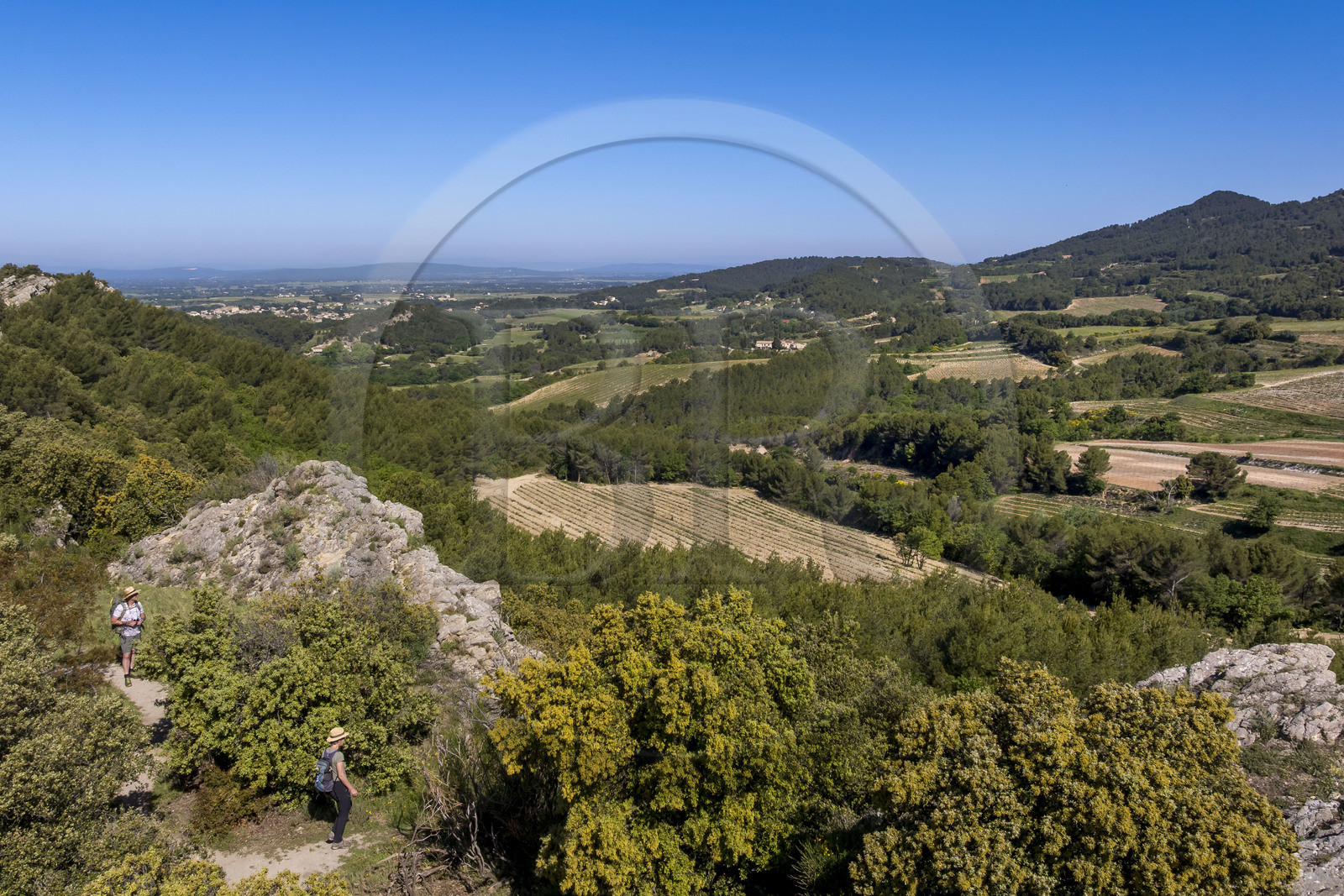 France, Vaucluse (84), Dentelles de Montmirail, Beaumes-de-Venise, randonneurs sur le plateau des Courens (vue aérienne)