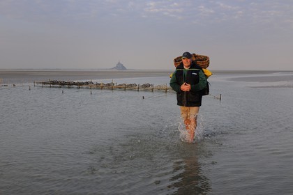 France, Manche (50), Baie du Mont-Saint-Michel, le pêcheur de grève Guy Jugan relevant ses filets de crevettes grises à l'aube