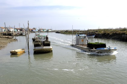 France, Charente-Maritime (17), Ile d'Oléron, le chenal d'Ors, chaland à huîtres dans le port ostréicole