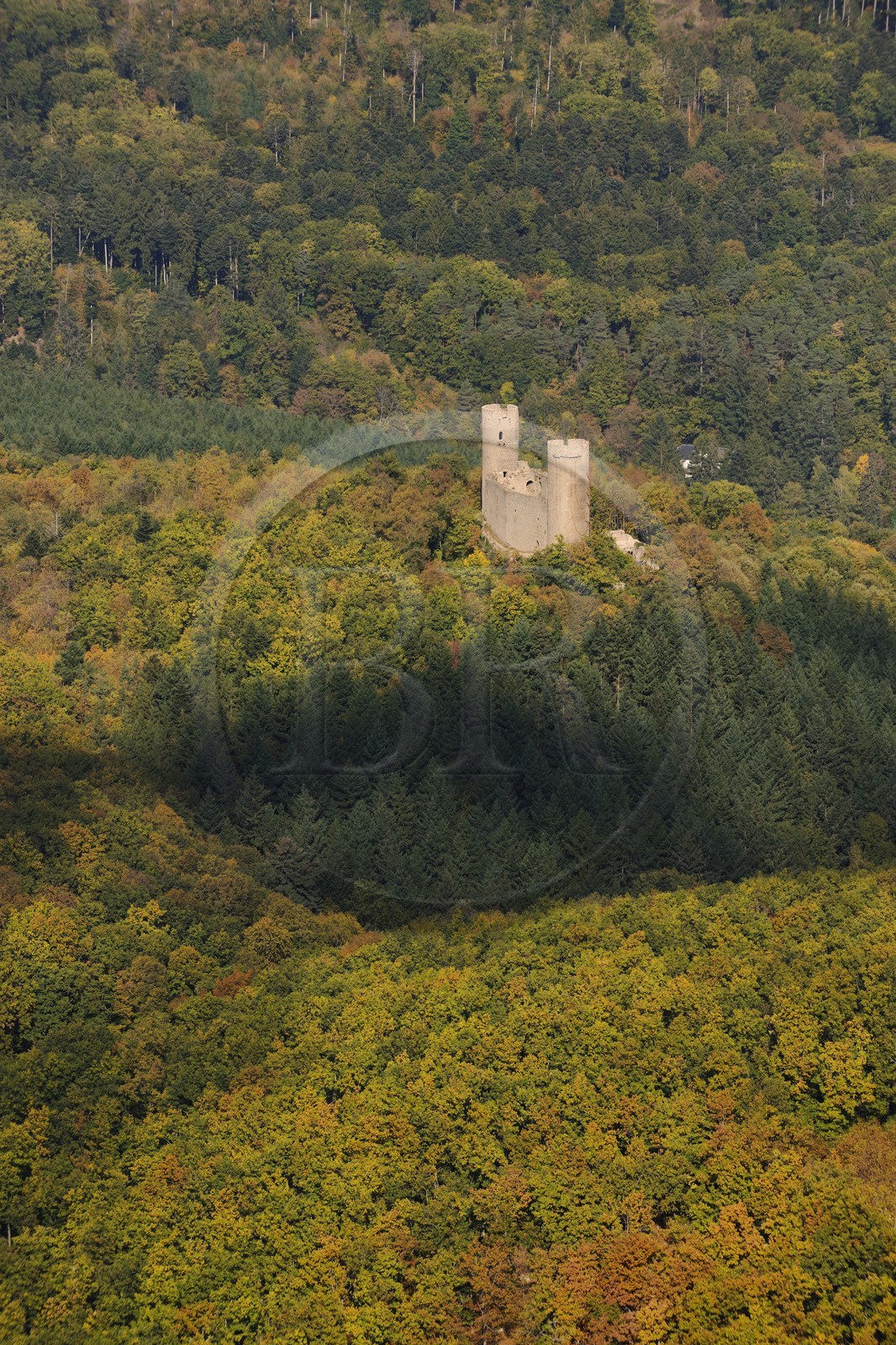 France, Bas-Rhin (67), Barr, château du Haut-Andlau (photo aérienne)