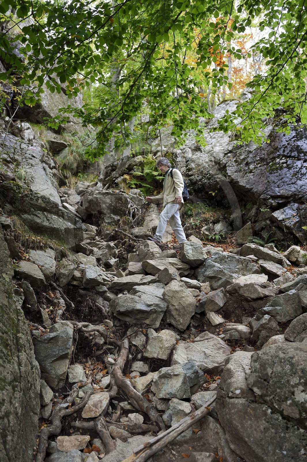 France, Haute-Corse (2B), Vivario, GR 20, étape entre le refuge de l'Onda et Vizzavona, foret de Vizzavona, les cascades des anglais, groupe de cascades dans la vallée de l'Agnone