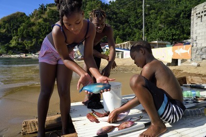 Caraïbes, Ile de la Dominique, baie de Soufrière, groupe d'enfant au retour de pêche  sur la plage de Soufrière, jeune fille tenant un poissons-perroquets (Scaridae)