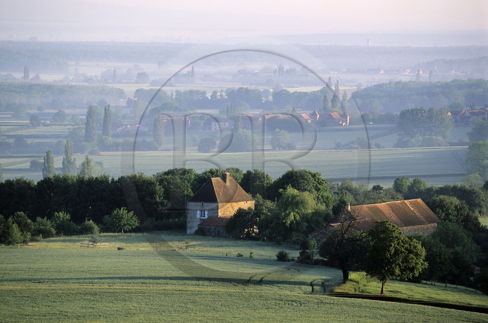 France, Saône-et-Loire (71), Mâconnais au petit matin, paysage de la région de Chapaize