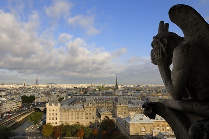 France, Paris (75), île de la Cité, la cathédrale Notre-Dame, les chimères observent la ville, la Stryge est l’une des plus célèbres chimères