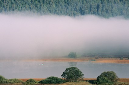 France, Doubs (25), pêcheurs sur le lac de Saint-Point dans le brume du petit matin
