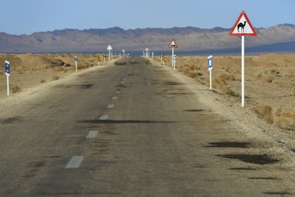 Iran, Isfahan province, Dasht-e Kavir desert, road from Khur to Mesr, Camel Crossing Sign, camels are responsible for many road accidents especially at night