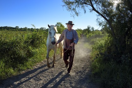 France, Bouches-du-Rhône (13), Parc naturel régional de Camargue, Mas du Menage, manade Saint Antoine (Cauzel), le gardian Régis Blayrat