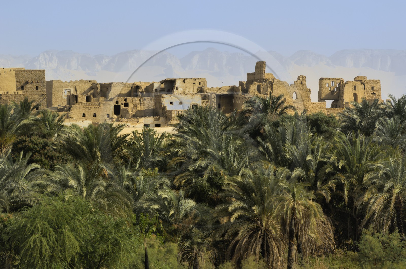 Egypte, Haute Egypte, désert libyque, oasis de Dakhla, vieux village de Al-Qasr