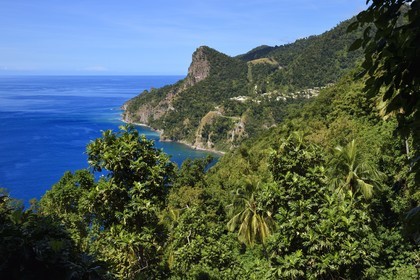 Caraïbes, Ile de la Dominique, la baie de Soufrière, dans les montagnes du sud de l'île le long du Segment 1 du Waitukubuli National Trail entre Scotts Head Village et Soufriere Estate