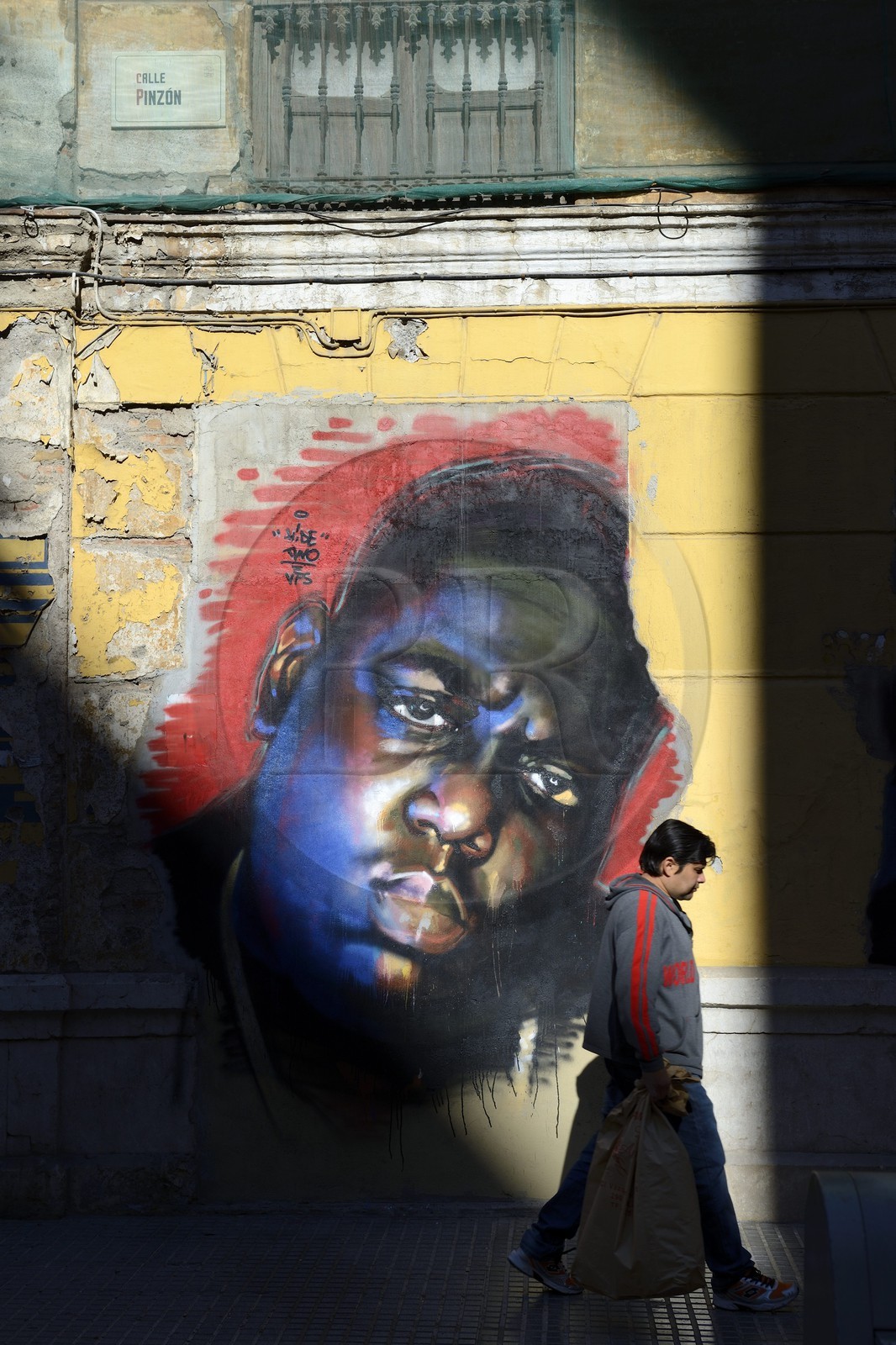 Espagne, Andalousie, Malaga, quartier Soho, barrio de las Artes (quartier des Arts), Maus street art, peinture murale de Hide Two dans la calle Pinzon