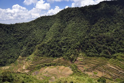 Philippines, Ifugao province, Banaue rice terraces around the village of Cambulo, listed as World Heritage by UNESCO, fed by an ancient irrigation system from the rainforests above the terraces