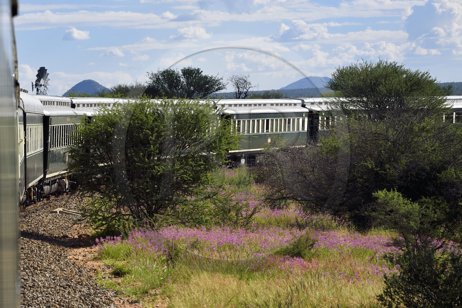 Namibie, région de Otjozondjupa, le train Shongololo express traversant le bush namibien