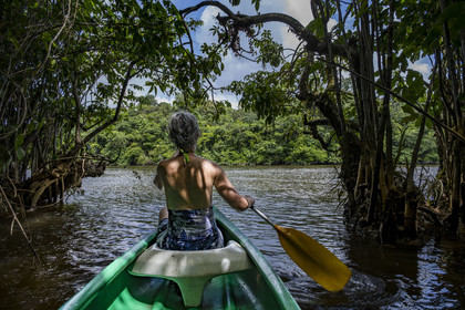 France, Guyane, Kourou, camp Maripas dans la forêt tropicale, découverte en canoé d'une crique, petite rivière, affluent du fleuve Kourou