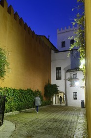 Espagne, Andalousie, Séville, quartier de Santa Cruz, la Juderia en bordure de l'Alcazar