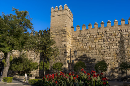 Spain, Andalusia, Seville, the Alcazar of Seville (Reales Alcazares de Sevilla), listed as World Heritage by UNESCO, the outer wall