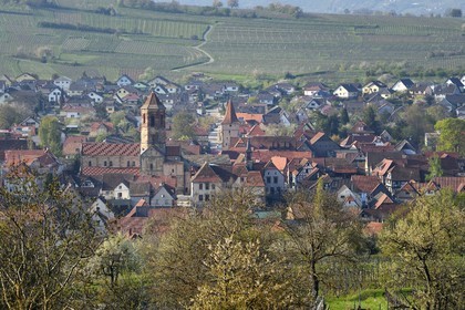 France, Bas Rhin, Rosheim surrounded by vineyards