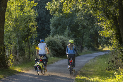 France, Maine-et-Loire (49), vallée de la Loire classée au Patrimoine Mondial par l'UNESCO, Saumur vers Saint-Hilaire, randonnée à bicyclette le long des berges de la Loire sur la piste cyclable La Loire à Vélo, vélo avec une remorque transportant le matériel de camping