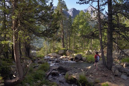 France, Hautes-Pyrénées (65), Saint-Lary-Soulan et Aragnouet, Réserve naturelle nationale du Néouvielle, randonnée des lacs du Neouvielle, randonneurs montant aux lacs des Laquettes