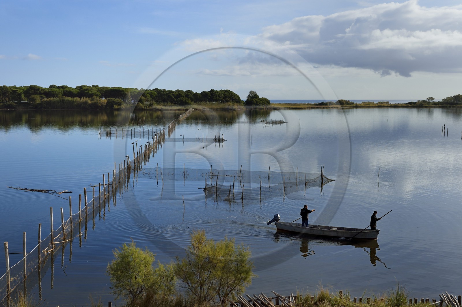 France, Haute Corse, the pond of Biguglia (Stagnu di Chiurlinu), nature reserve of Corsica (RNC), fishermen in between nets set on alder stakes