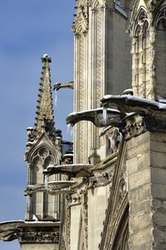 France, Paris (75), les rives de la Seine, classées Patrimoine Mondial de l'UNESCO, la Cathédrale Notre-Dame sous la neige sur l'Ile de la Cité, gargouilles