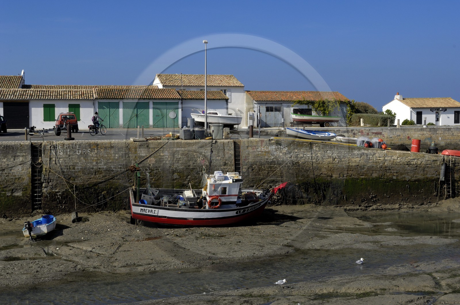 France, Charente-Maritime (17), ile de Ré, le port d' Ars-en-Ré