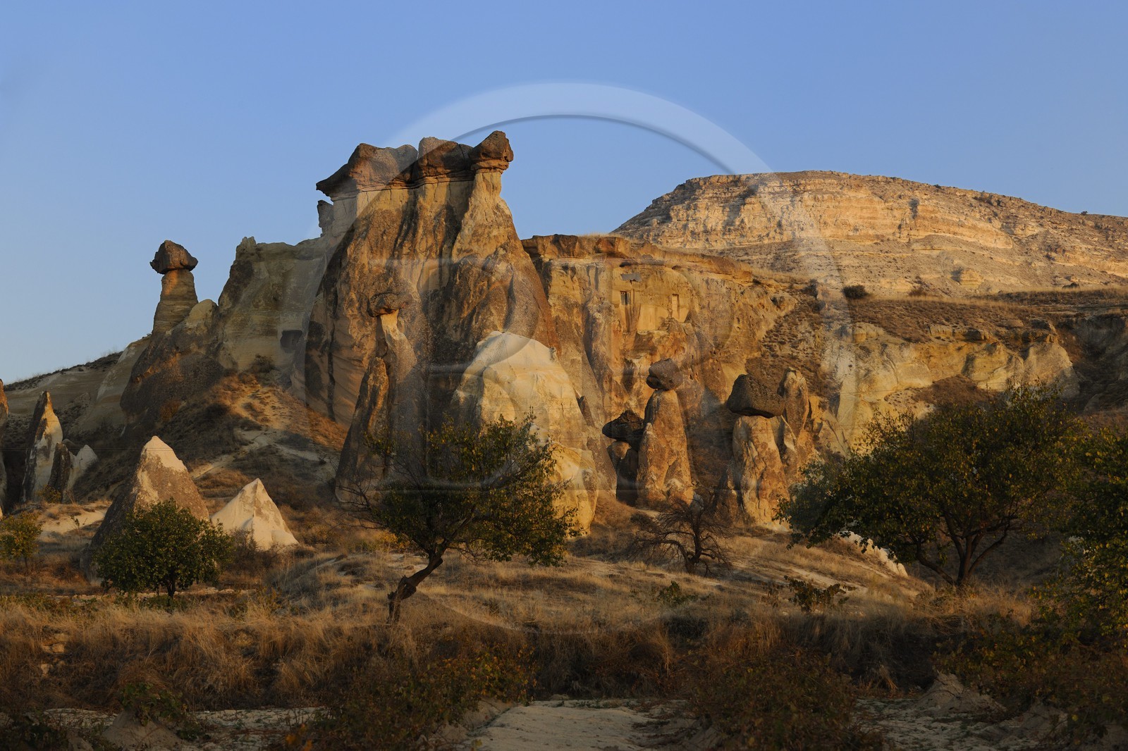 Turquie, Anatolie Centrale, province de Nevsehir, Cappadoce classée Patrimoine Mondial de l'UNESCO, paysage d'érosion et cheminées de fées à Çavusin