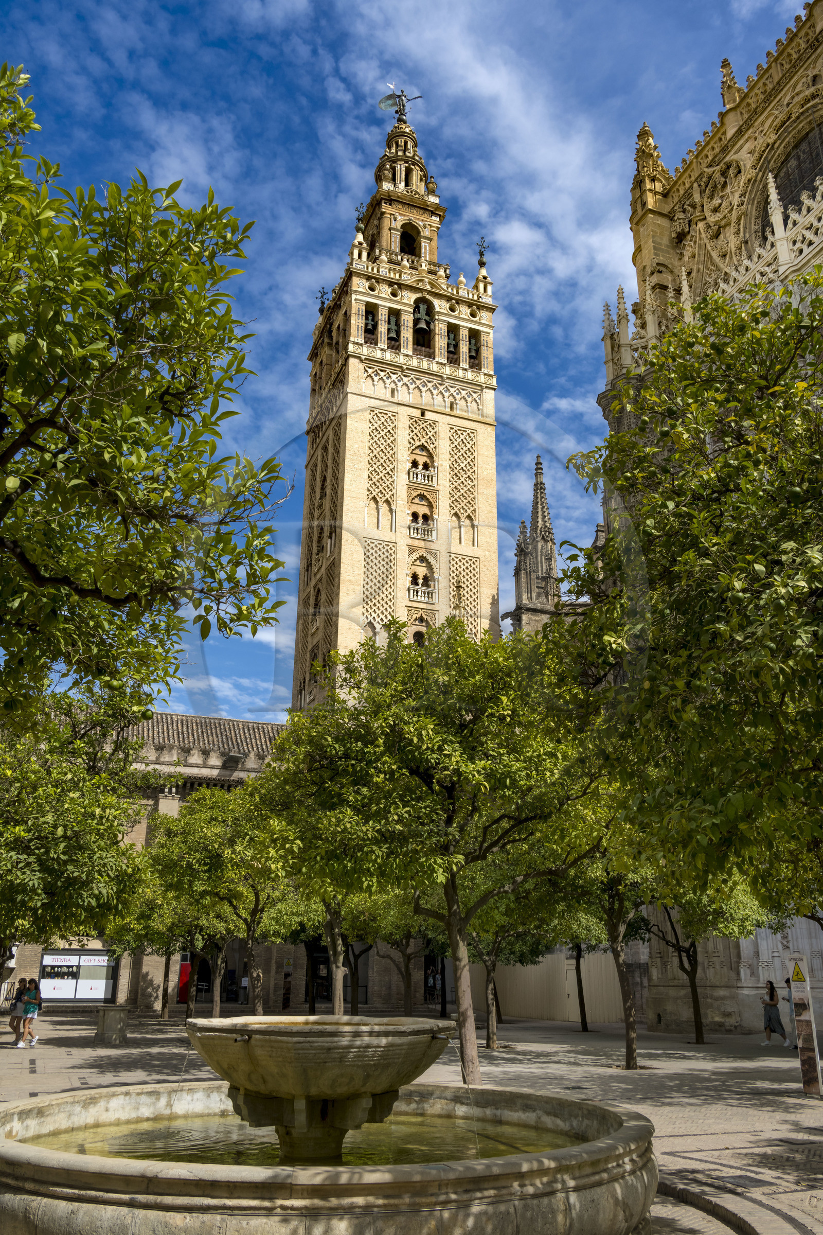 Spain, Andalusia, Seville, the cathedral, listed as World Heritage by UNESCO, the Patio de los Naranjos and the Giralda Tower