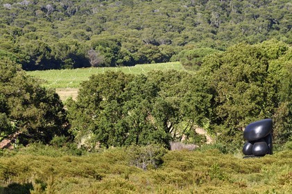 France, Var (83), Iles d'Hyères, parc national de Port Cros, Ile de Porquerolles, la Fondation Carmignac, LOLO de Wang Keping