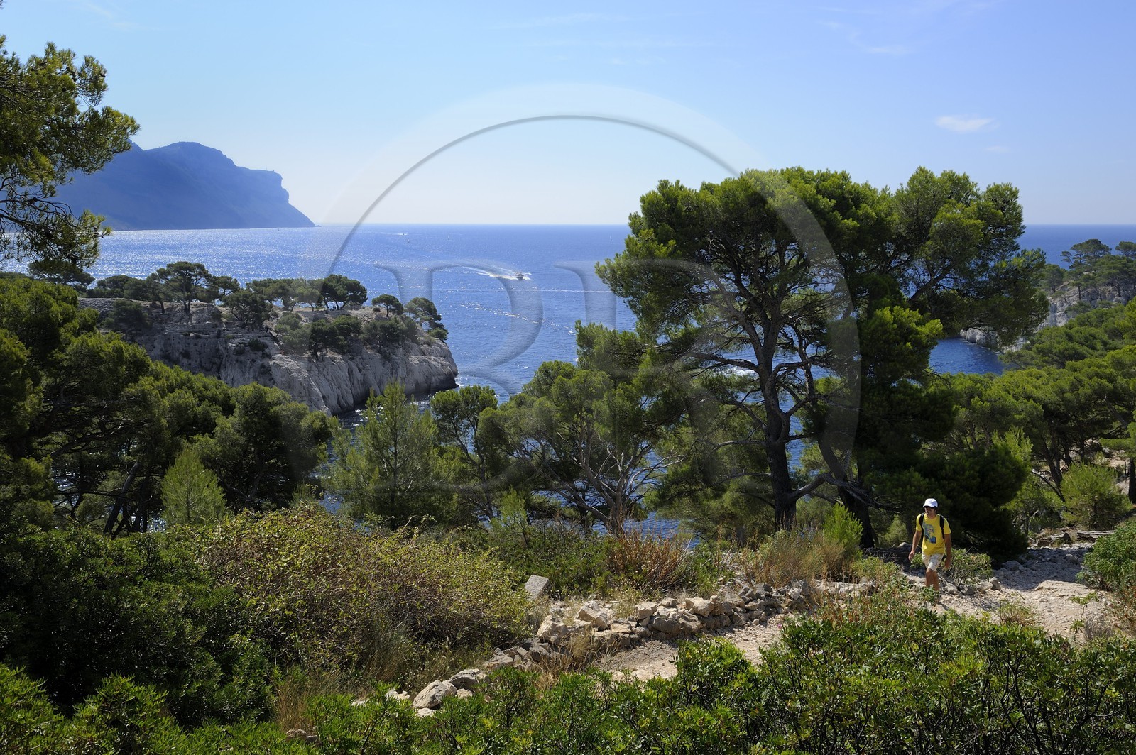 France, Bouches-du-Rhône (13), Cassis, presqu'île de Port Miou et les falaises du Cap Canaille en arrière plan