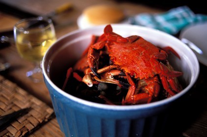 France, Finistere, a crab, local speciality served in prat ar coum village