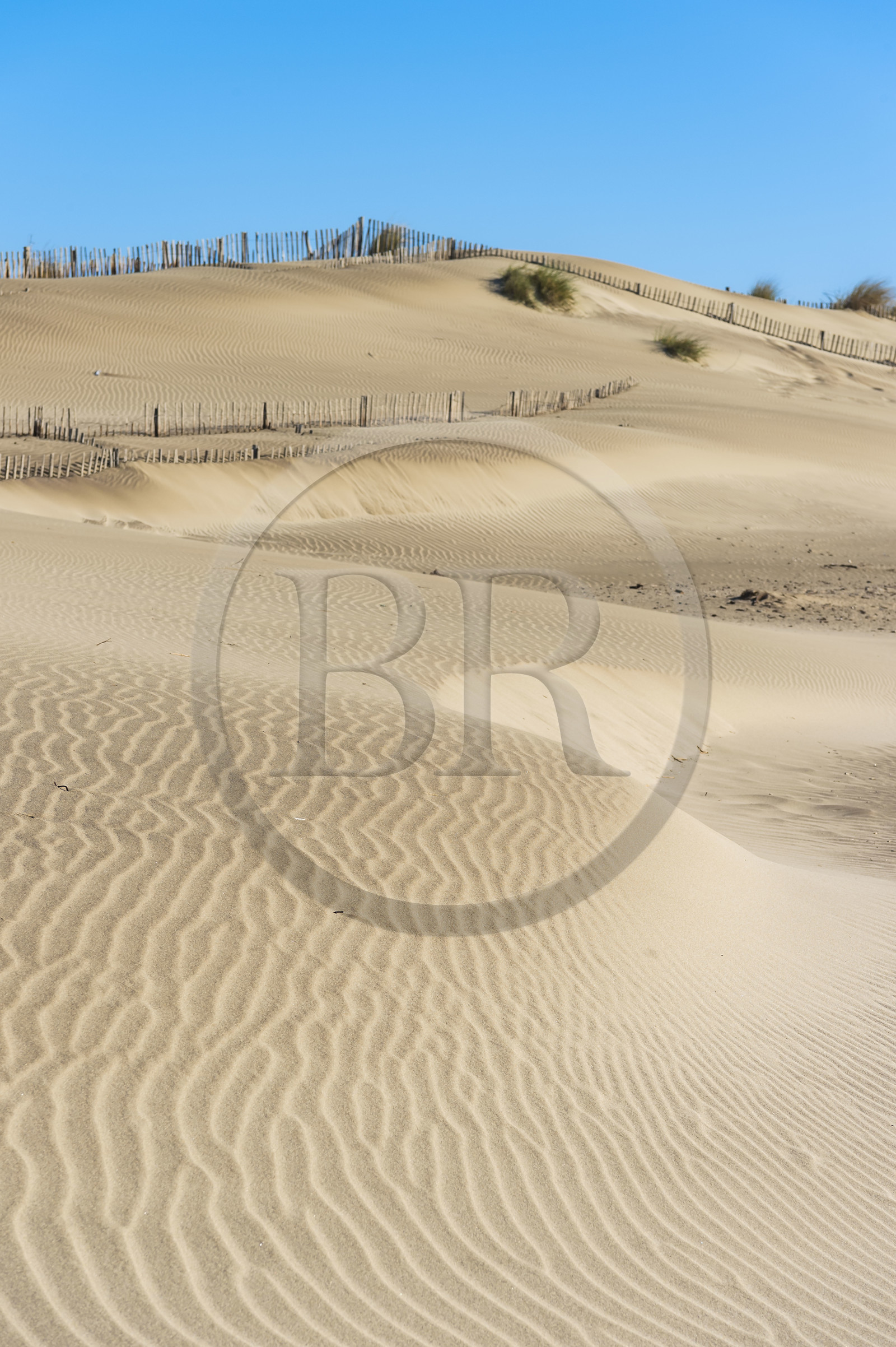 France, Gard (30), massif dunaire camarguais de la Pointe de l'Espiguette en bord de mer