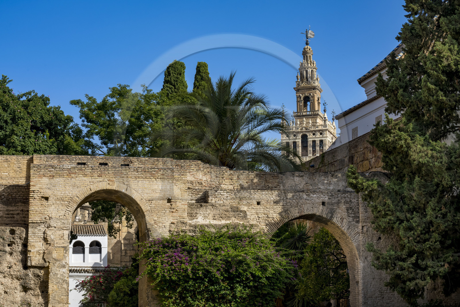 Espagne, Andalousie, Séville, Alcazar de Séville (Reales Alcazares de Sevilla), classé Patrimoine Mondial de l'UNESCO, et la Giralda en arrière plan