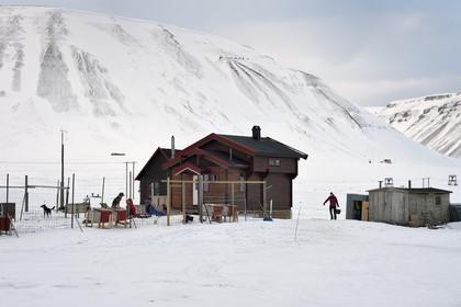 Norway, Svalbard, Spitzbergen, Adventdalen valley near Longyearbyen, breeding of sled dogs