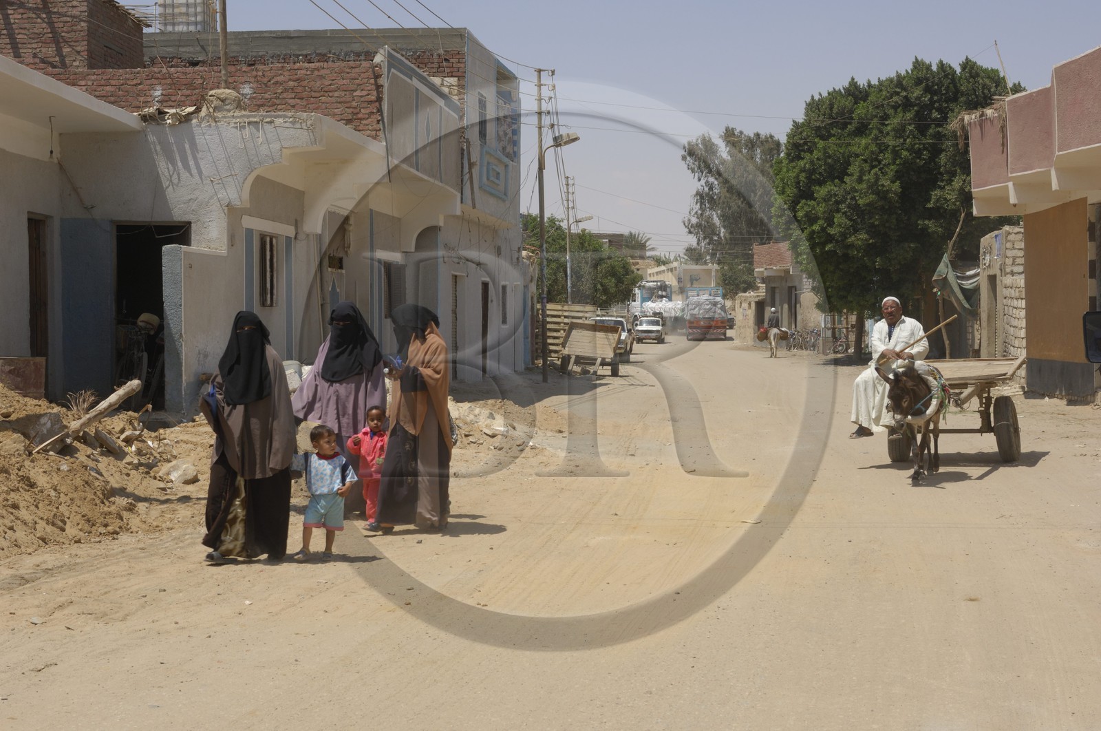 Egypte, Basse-Egypte, désert libyque, oasis de Bahariya (Bahareyya)