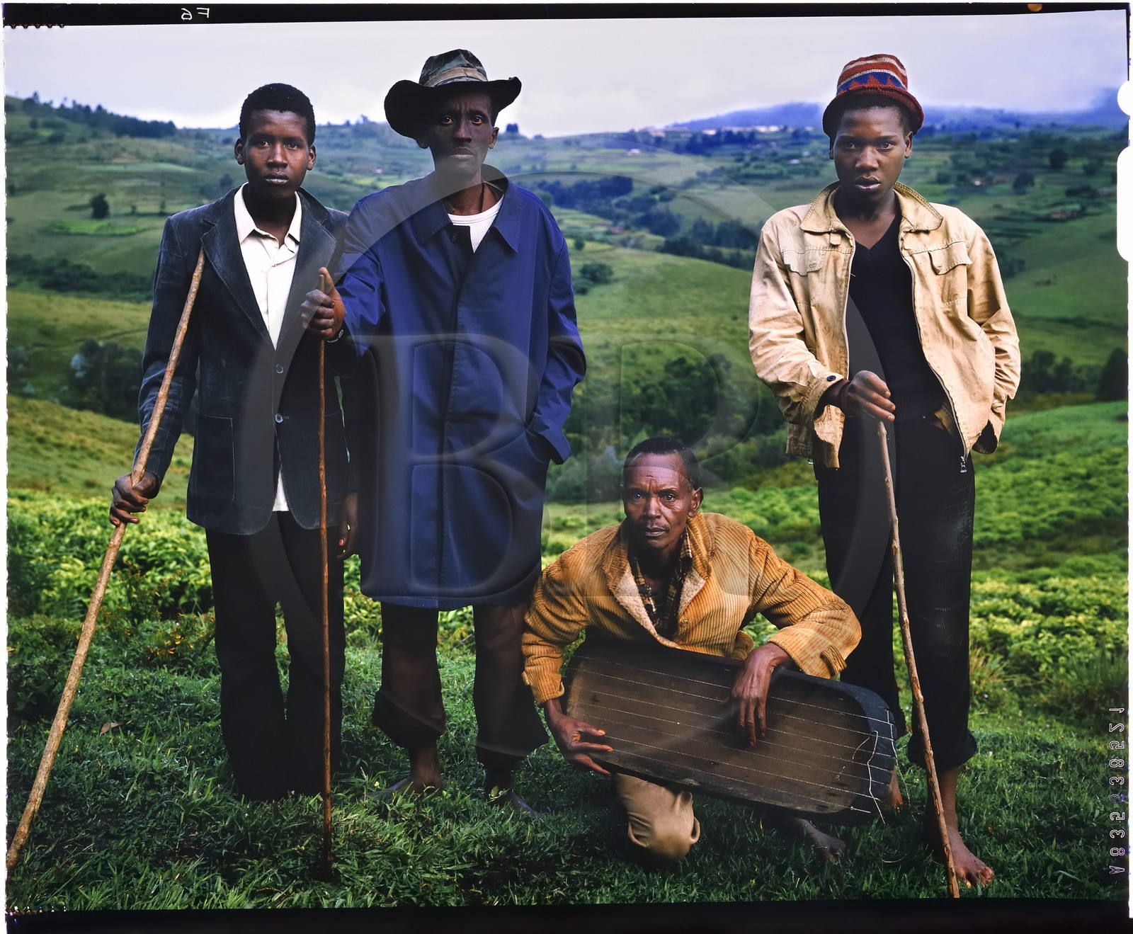 Burundi, province de Bujumbura, région d'Ijenda, pasteurs Tutsi, traditionnellement les Tutsi (batutsi) ont toujours été des éleveurs de vaches, ils seraient originaires de la région du Haut Nil et seraient arrivés dans la région des grands lacs entre le XIIIème et le XVIème siècle, l'homme accroupi joue d'un instrument à corde appelé inanga, à l'arrière plan on aperçoit des plantations de thé (reproduction plan-film inversible 4x5)