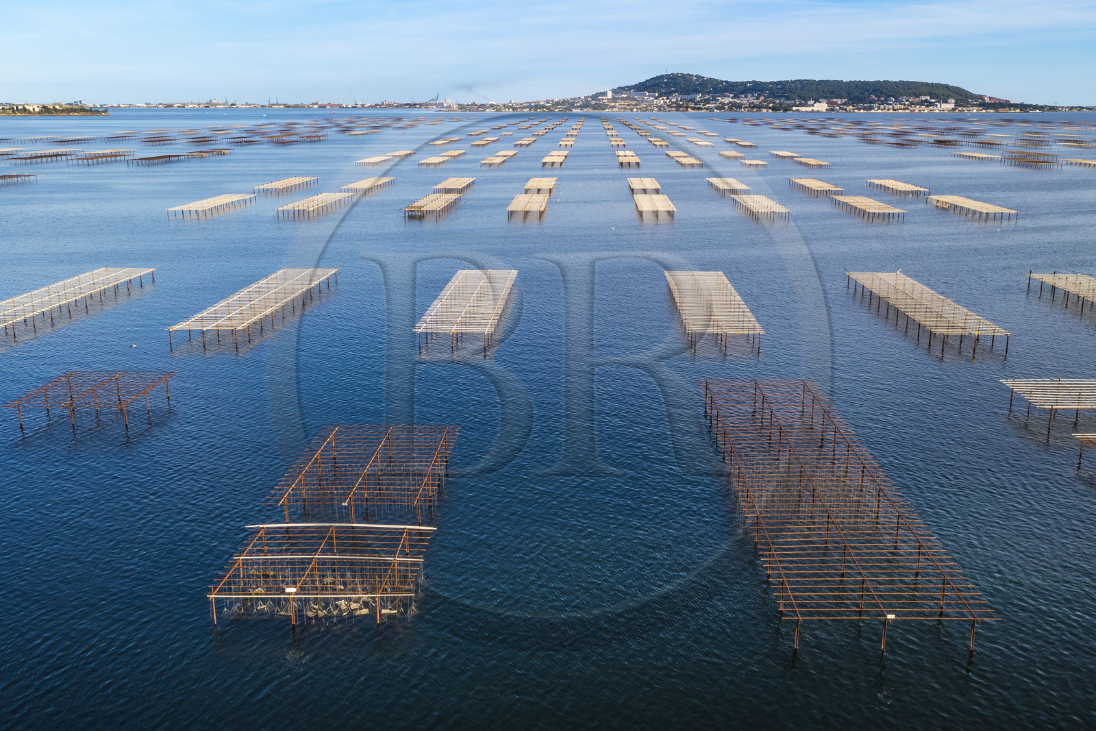 France, Hérault (34), Bouzigues, exploitations ostréicoles des parc à huitres sur l'Etang de Thau, le Mont Saint-Clair et Sète en arrière plan (vue aérienne)