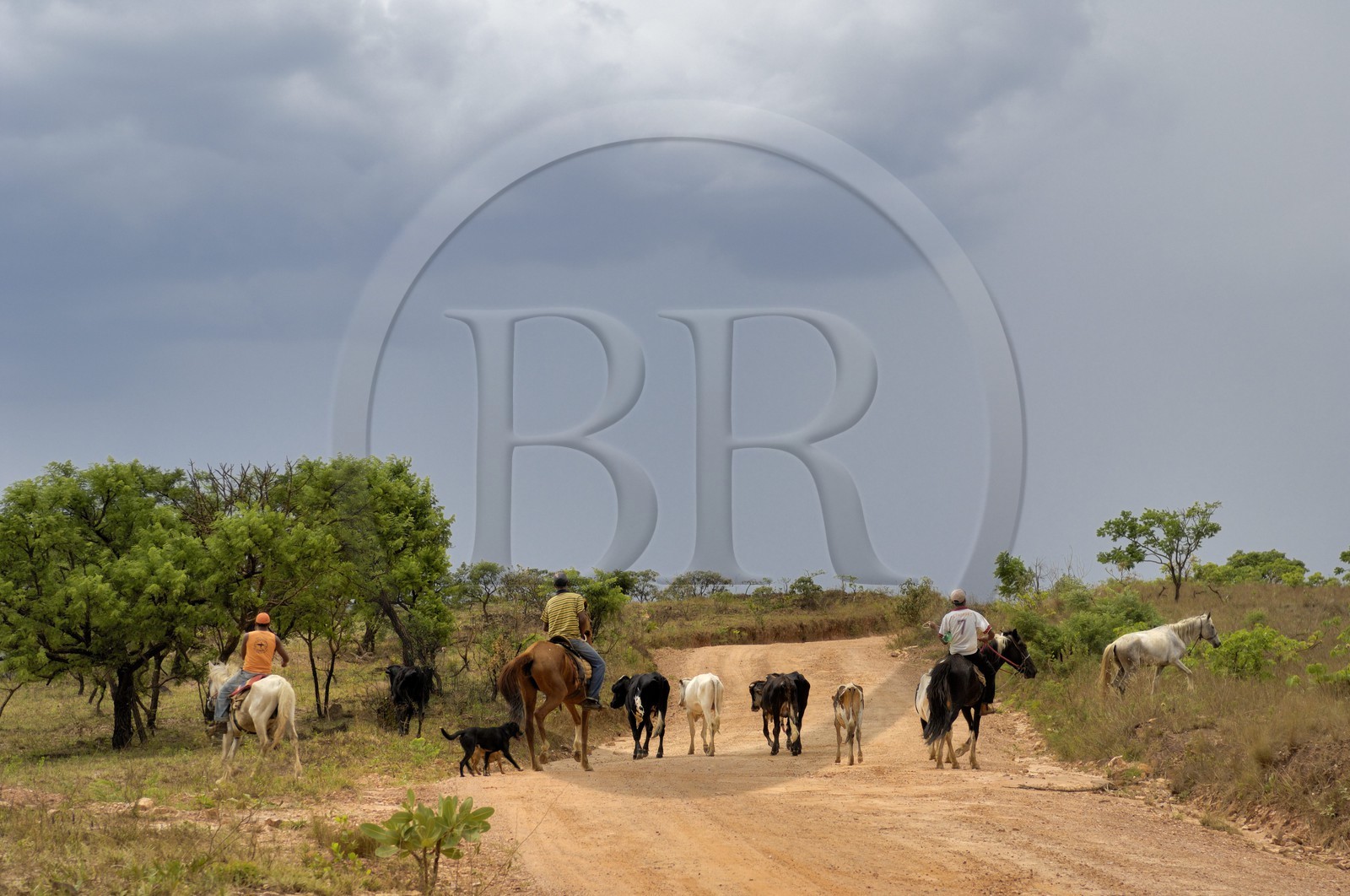 Brazil, Minas Gerais state, Carrancas area south of Sao Joao del Rei, cowboys along the Gold Route track (Estrada Real)