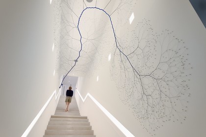 France, Var (83), Iles d'Hyères, parc national de Port Cros, Ile de Porquerolles, la Fondation Carmignac, Ciclotrama 50 (wind) (2018) de Janaina Mello Landini