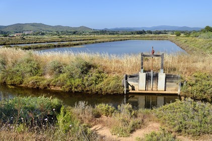 France, Var (83), Hyères, Conservatoire du littoral, les Vieux Salins (marais salants)