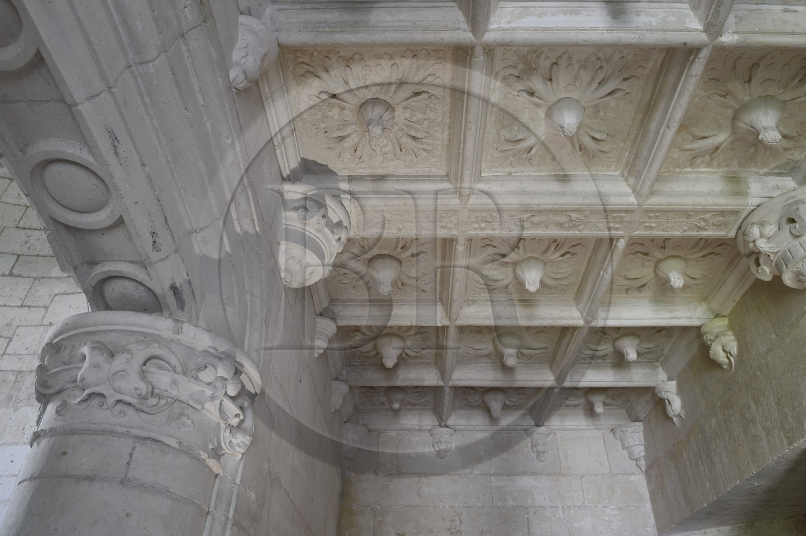 France, Dordogne (24), Périgord Vert, Villars, château de Puyguilhem, plafond à caissons du vestibule du premier étage orné de fleurs de chardons et de salamandres