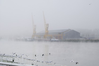 France, Seine-Maritime (76), Rouen, les anciens docks sur les quais de Seine, les grues par temps de brouillard