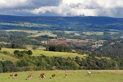 France, Cantal (15), région d'Alleuze sur les hauteurs de la vallée de la Truyère, le viaduc de Garabit vu de loin au dessus des gorges de la Truyère, des ingénieurs Léon Boyer pour la conception et Gustave Eiffel pour la réallisation
