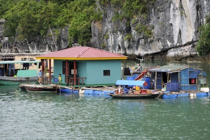 Vietnam, province de Quang Ninh, la Baie d'Halong classée Patrimoine Mondial de l'UNESCO, village flottant de pêcheurs de Vong Vieng