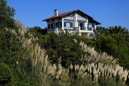 France, Pyrénées-Atlantiques (64), la côte du Pays-Basque, Bidart, maison traditionnelle de style néo-basque, au premier plan des herbes de la pampa (Cortaderia selloana)