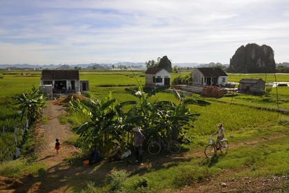 Vietnam, Ninh Binh province, small farms in the middle of ricefields