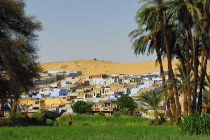Egypt, Upper Egypt, Nubia, Nile Valley, Aswan, west bank, nubian village at the edge of the desert