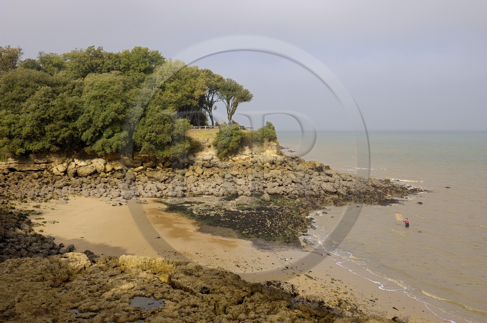 France, Charente-Maritime (17), Ile d'Aix, plage des Sables Jaunes, pêche à la treuille (pour les crevettes)