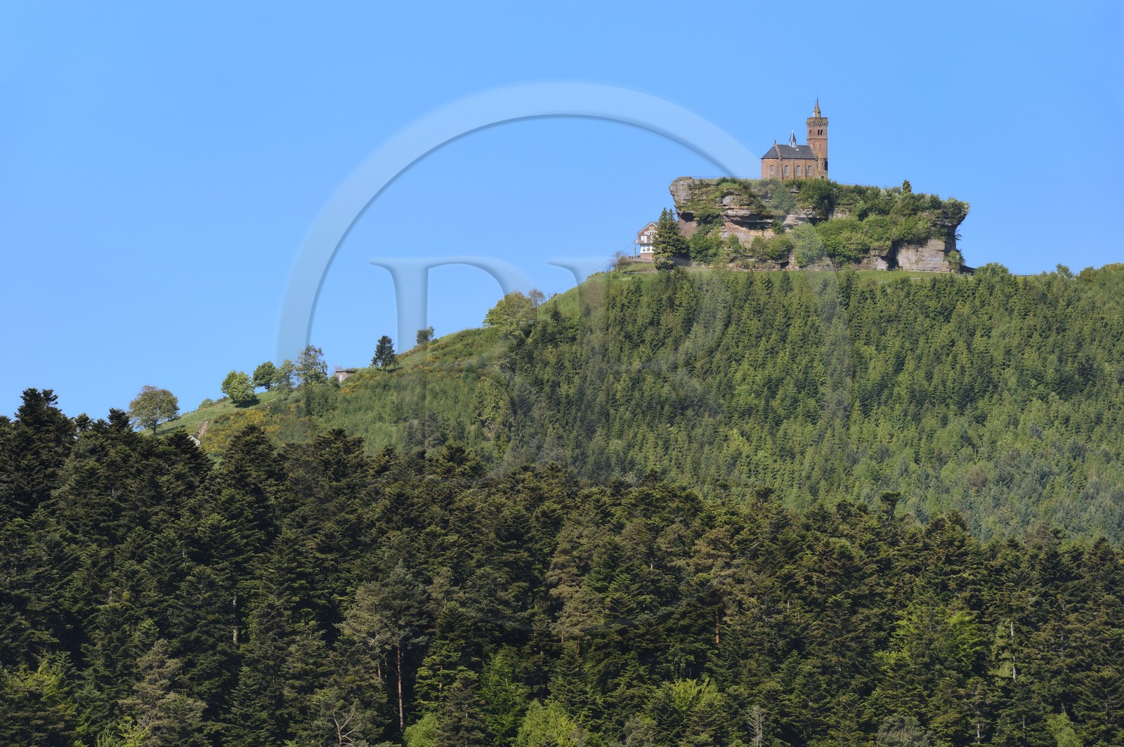 France, Bas Rhin, Moselle, Dabo Rock, bell tower of the Saint Leon chapel