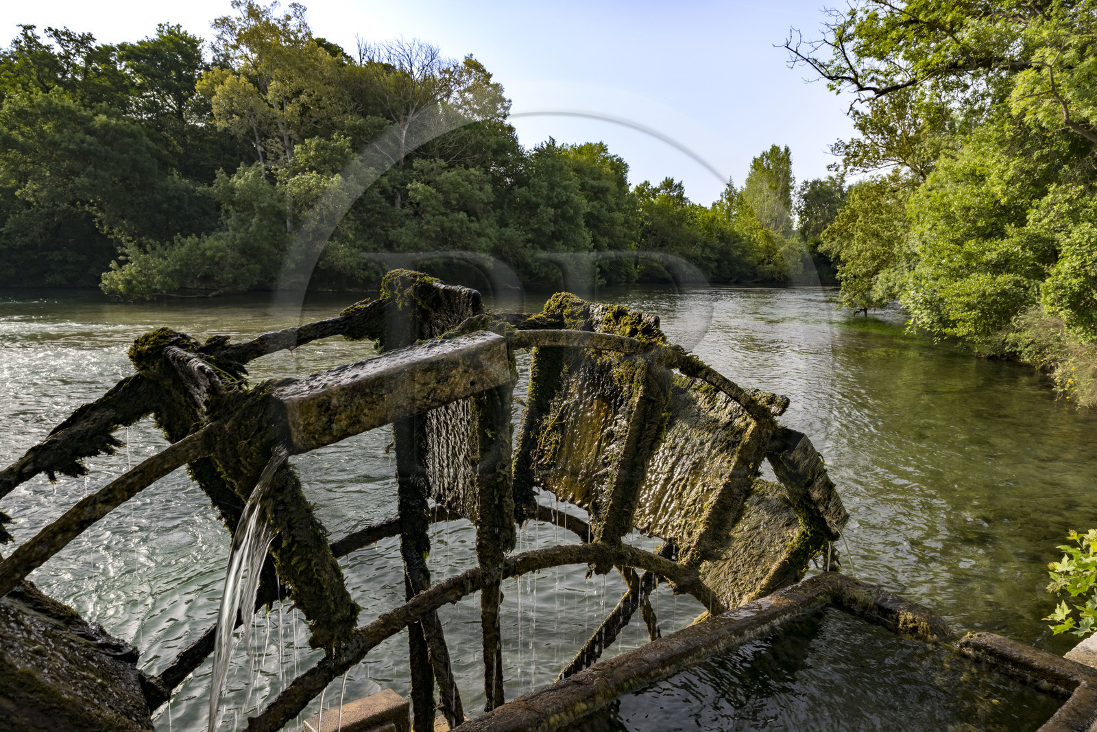 France, Vaucluse (84), L'Isle-sur-la-Sorgue, le partage des eaux sur la Sorgue où la rivière se divise en 2 bras pour se diriger, l’un vers Velleron et l’autre vers Entraigues, ancienne roue de moulin à eau
